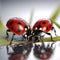 Tiny ladybugs on fragile leaves looking at each other kissing or drinking water. 3d closeup macro