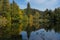 Tiny lake with the name Neuer Teich