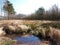 Tiny lake at a sunny clearing in late autumn in the forest