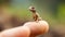 A tiny lizard sitting on the tip of the finger, macro shot, miniaturecore, natural phenomena