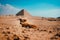 Tiny lonely sad puppy standing in the middle of the desert with the pyramids of saqqara in the background. Stray hungry dogs roam