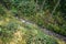 Tiny mountain river in the Carpathians top view