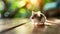 Tiny mouse on wooden floor. Small rodent. Soft focus and bokeh background