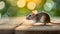 Tiny mouse on wooden floor. Small rodent. Soft focus and bokeh background