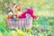 Tiny newborn baby in big basket with apples in a sunny autumn ga