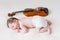 Tiny newborn girl lying next to a violin