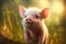 Tiny piglet with cannon on pink skin runs through grass