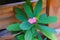 Tiny pink Euphorbia Milii flower wite green leaves.