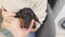 Tiny puppy dog dachshund sits on owner arms, devoutly licks man hand.