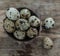 Tiny quail eggs with brown spots, topview