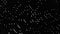 Tiny Radiant White Dots Moving On Black Background - Closeup Shot