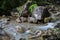 Tiny rapids at the Val Vertova torrent Lombardy near Bergamo in