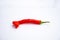 Tiny red chili pepper isolated on a white background