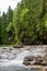 A tiny river in the mountain forest with low water waterfall. Brite summer day in mountain forest