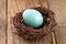 Tiny Robin\'s Egg in a Small Nest on Wood Board Background