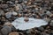 A tiny rock found perched on ice surrounded by other rocks