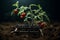 From Tiny Seed to Mighty Harvest: Witness the Growth of a Tomato Plant in Rich Soil