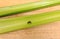 tiny slug on fresh celery
