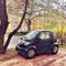 Tiny Smart Car near a beautiful tree