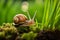 Tiny Snail Among Grass Blades. Generative AI