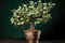 a tiny sprouting money tree symbolizing financial growth