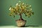 a tiny sprouting money tree symbolizing financial growth