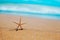 Tiny starfish on the seashore. summer concept with copy space.