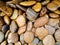 Tiny stones gravel texture background, wet stone floor