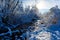 Tiny stream flowing along snowy woods on sunny day