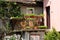 Tiny suburban family house backyard with terrace filled with flowers and other plants surrounded with metal fence