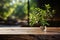 Tiny tree adorns wooden surface, merging natures beauty with interior charm