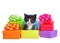 Tiny tuxedo kitten sitting in a box in piles of small colorful bright holiday presents
