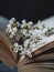 Tiny white flowers in an open book. literature reading education