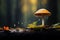 Tiny Wonder: A Fascinating Encounter Between Insect and Mushroom