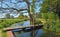 Tiny wooden foot bridge stream and trees.