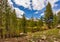 Tioga Lake in the Sierra Nevada Mountain, California, USA