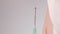 The tip of the syringe needle dispenses the vaccine.