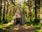 A tipi made with wooden boards inside the European forest, shelter for the night