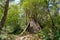 Tipi tent of wooden branches of a tree.