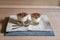 Tiramisu cream in small glass bowls