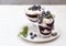 Tiramisu. Homemade dessert in glasses with blueberries, cream and ladyfingers garnish with blueberries and thyme. Light grey stone