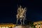 Tirana, Albania - March 16 2021: Skanderbeg statue close-up night shot