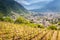 Tirano - Valtellina IT - View of the Basilica