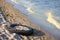 Tire on a beach