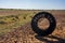 Tire on a dirt road of the Oodnadatta Track in the outback of Australia