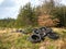 Tire dump next to forest