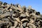 Tire Recycling Yard