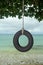 Tire swing