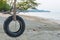 Tire swing under tree on ocean beach