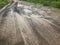 Tire track dirty dirt road after raining